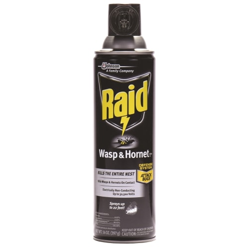 Raid® Wasp, Hornet and Insect Killer, 14oz